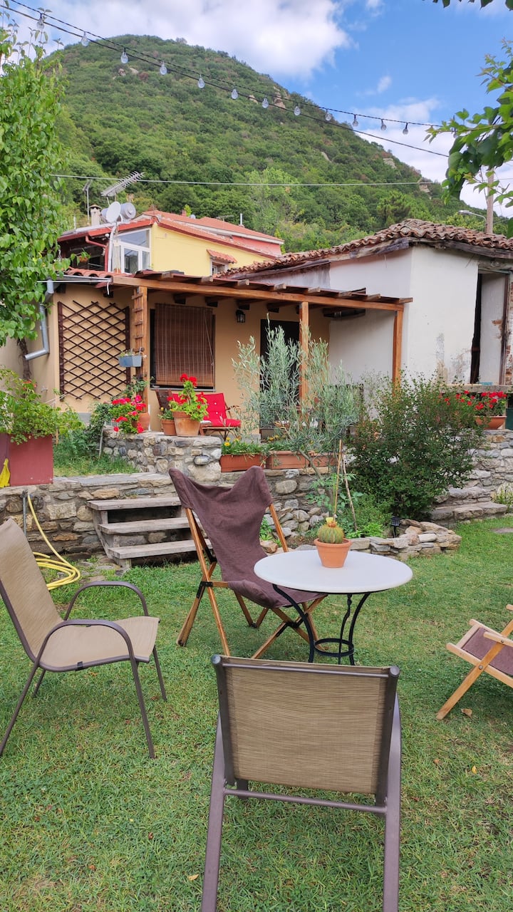 Μονοχώρος με αυλή