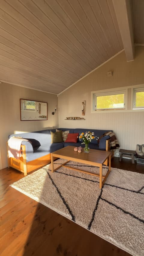 Successful Airbnb property: Spectacular Lofoten with proximity to mountains, lake, water in Flakstad