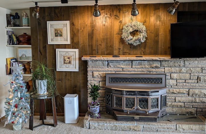 This is a heart-a-lator fireplace. Notice the white air purifier. 