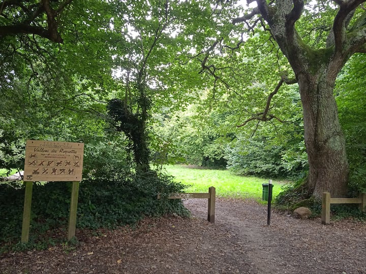 Maison Au Calme Entre Ville Et Nature, Parking - Tourlaville