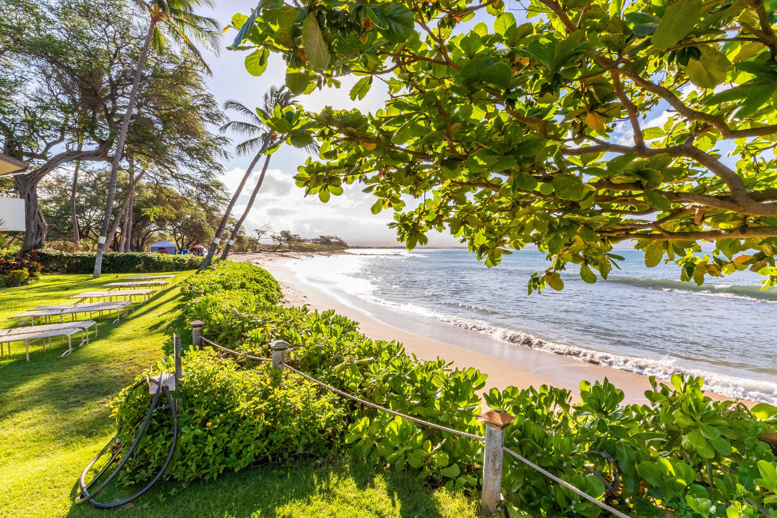 Oceanfront Makani A Kai A3 -Ma'alaea- Beach close! - Image 47