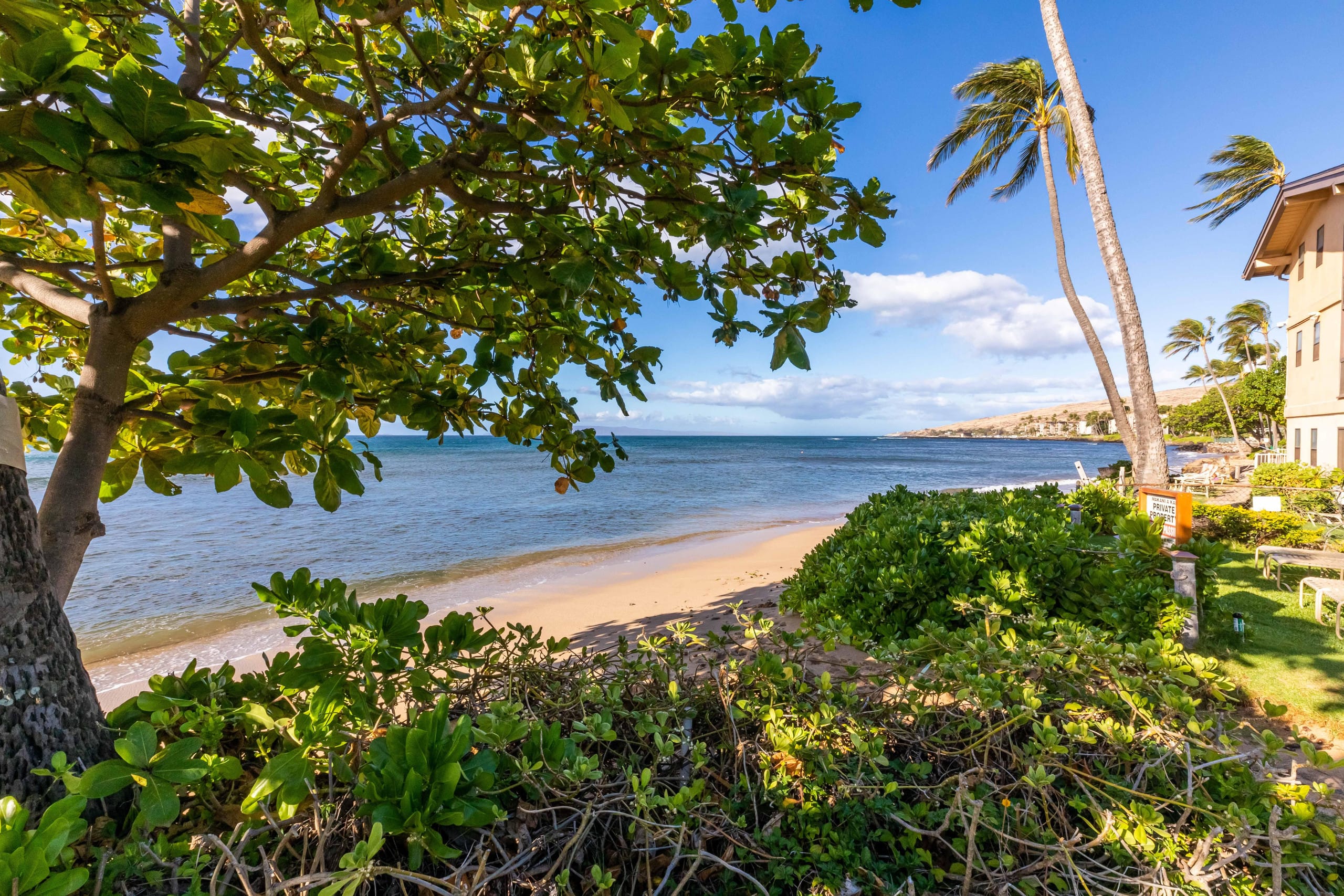 Oceanfront Makani A Kai A3 -Ma'alaea- Beach close! - Image 44