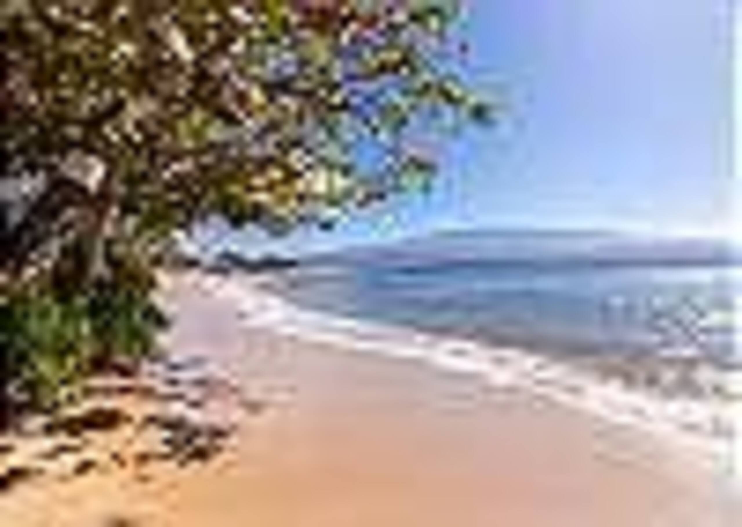 Oceanfront Makani A Kai A3 -Ma'alaea- Beach close! - Image 43
