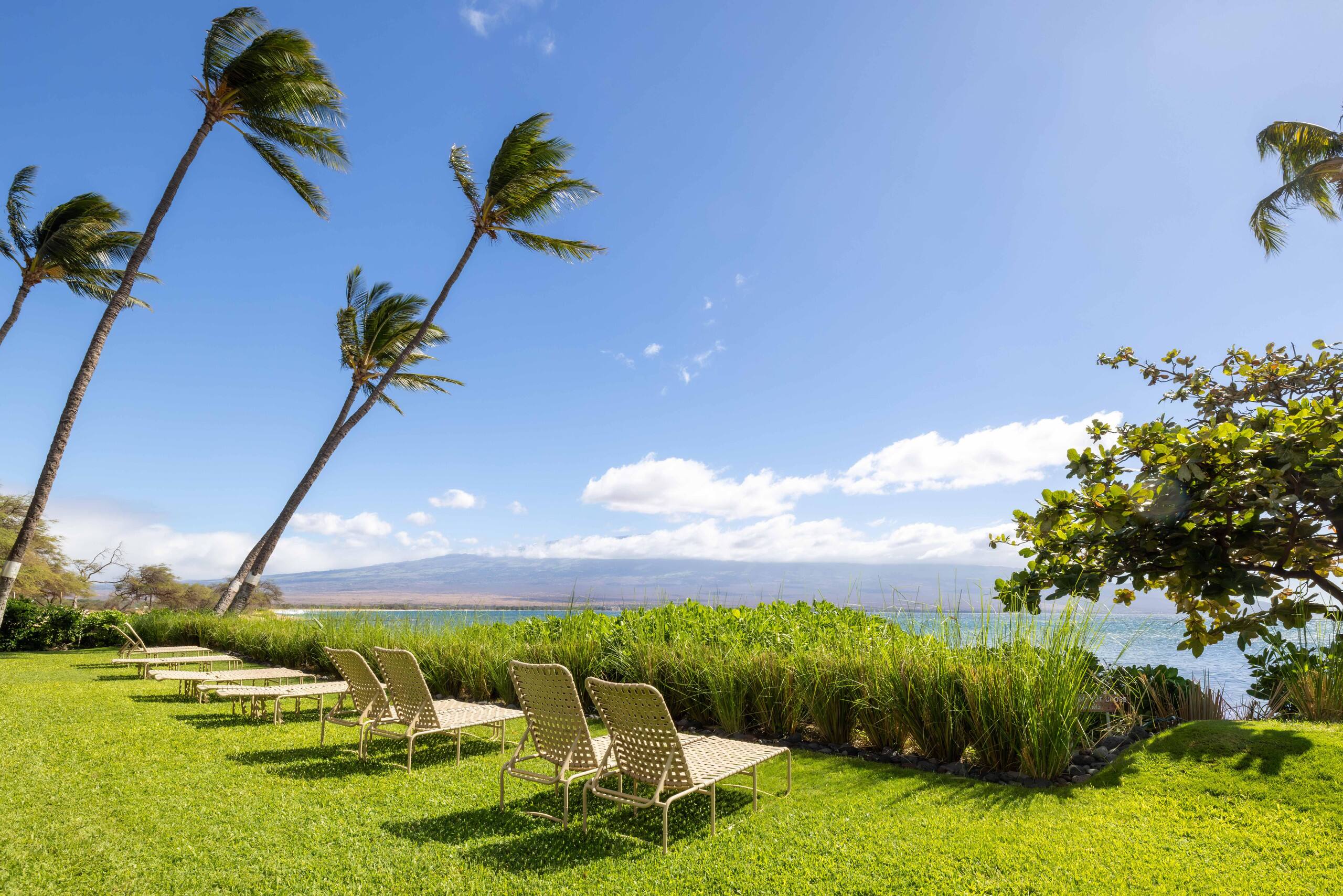 Oceanfront Makani A Kai A3 -Ma'alaea- Beach close! - Image 39