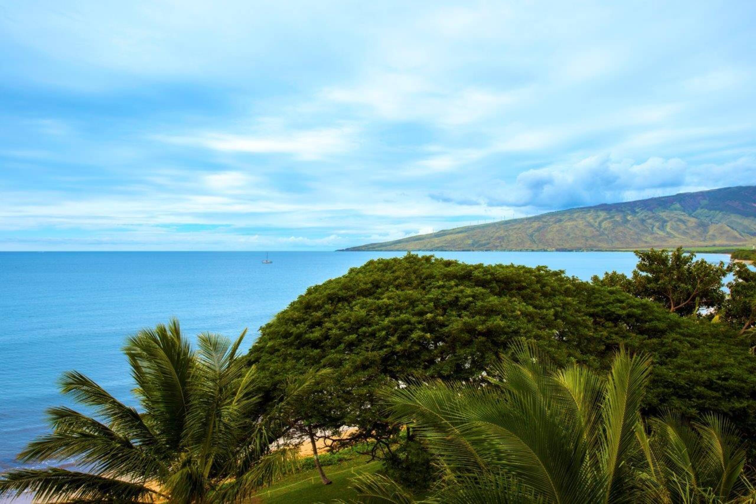 Oceanview Kealia 607 Great Top Floor Condo Views - Image 14