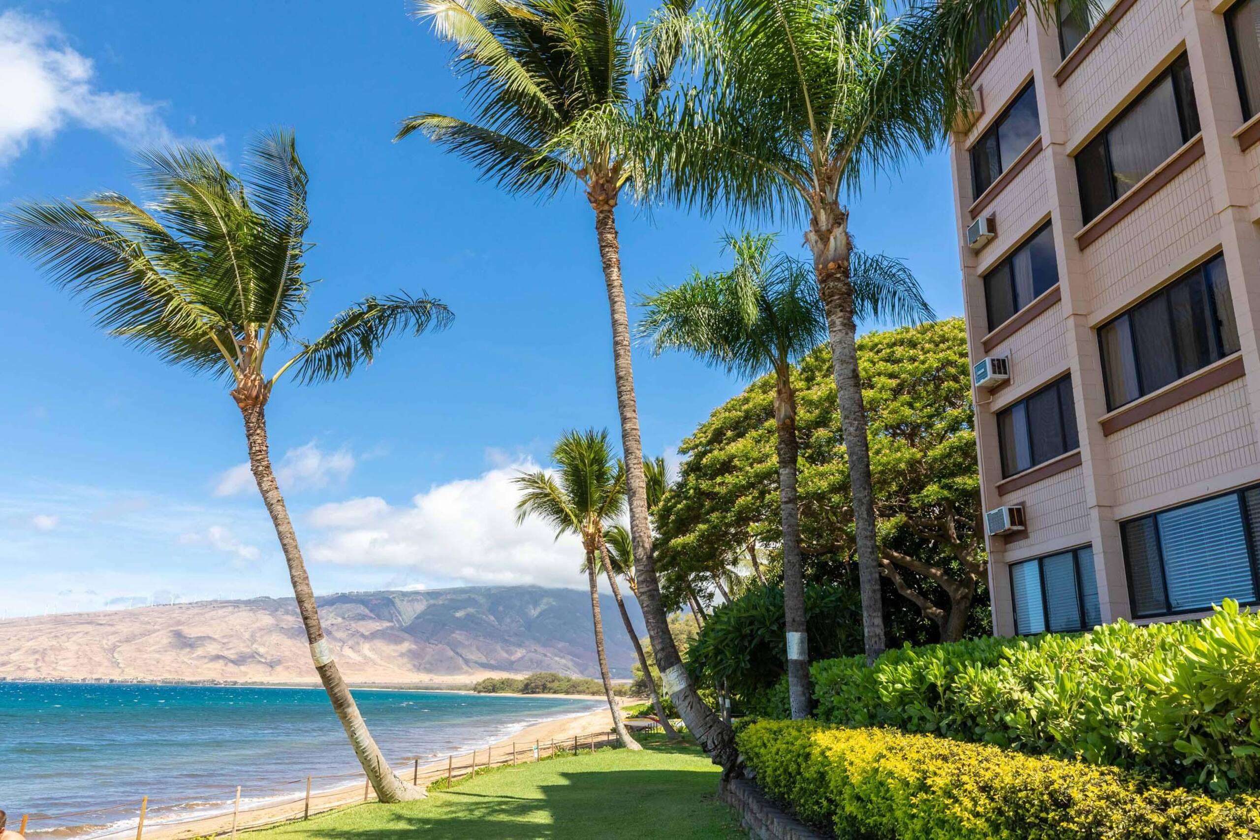 Oceanview Kealia 407- Great 1 Bedroom 4th Floor - Image 38