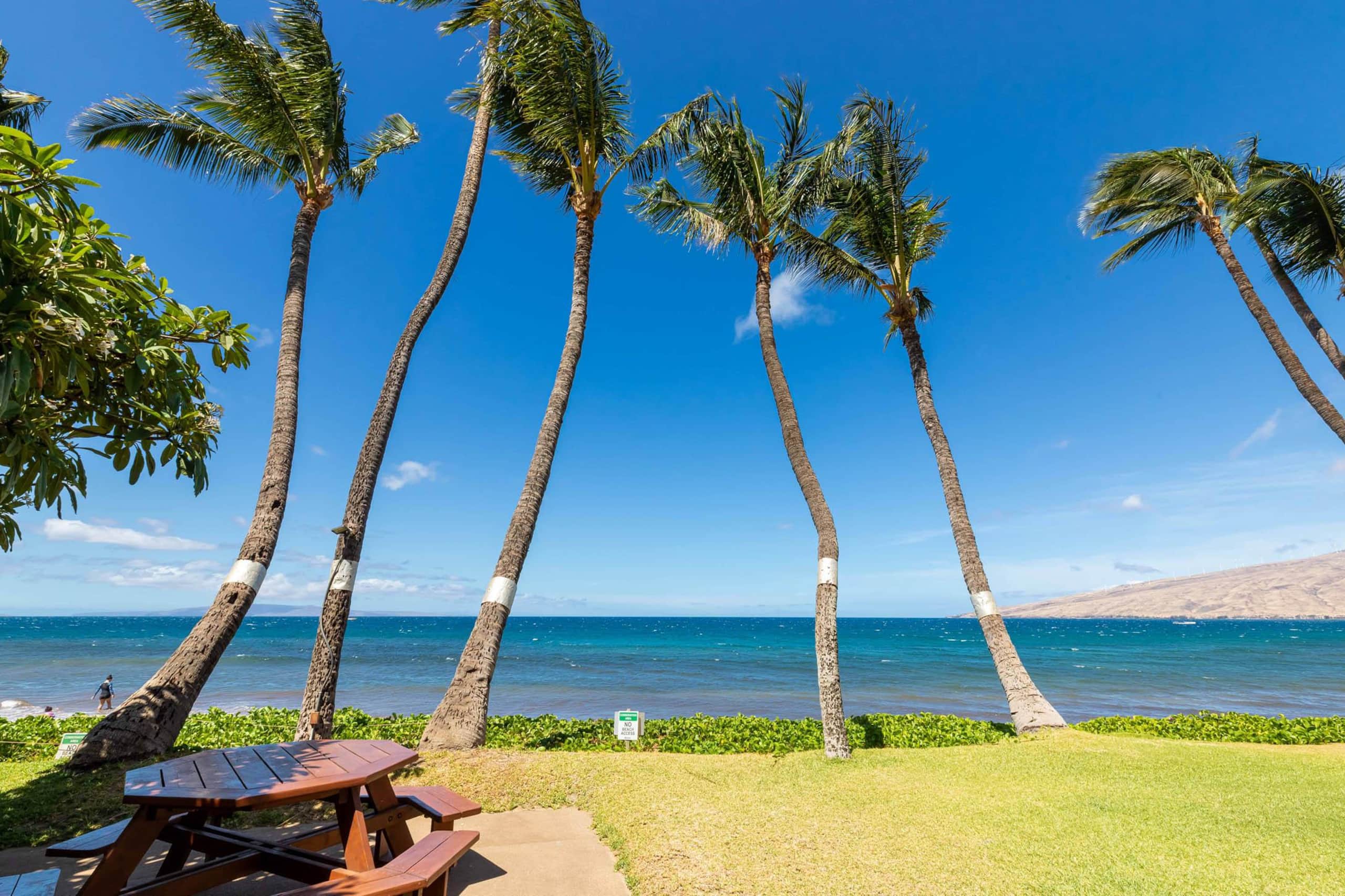 Oceanfront Kealia 403 Stunning Ocean Views 4th Flr - Image 18