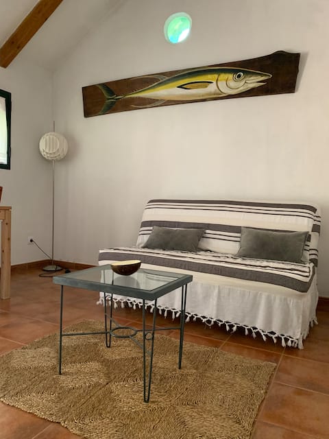 Successful Airbnb property: Casa Zahorín, Vejer Beach in Barbate