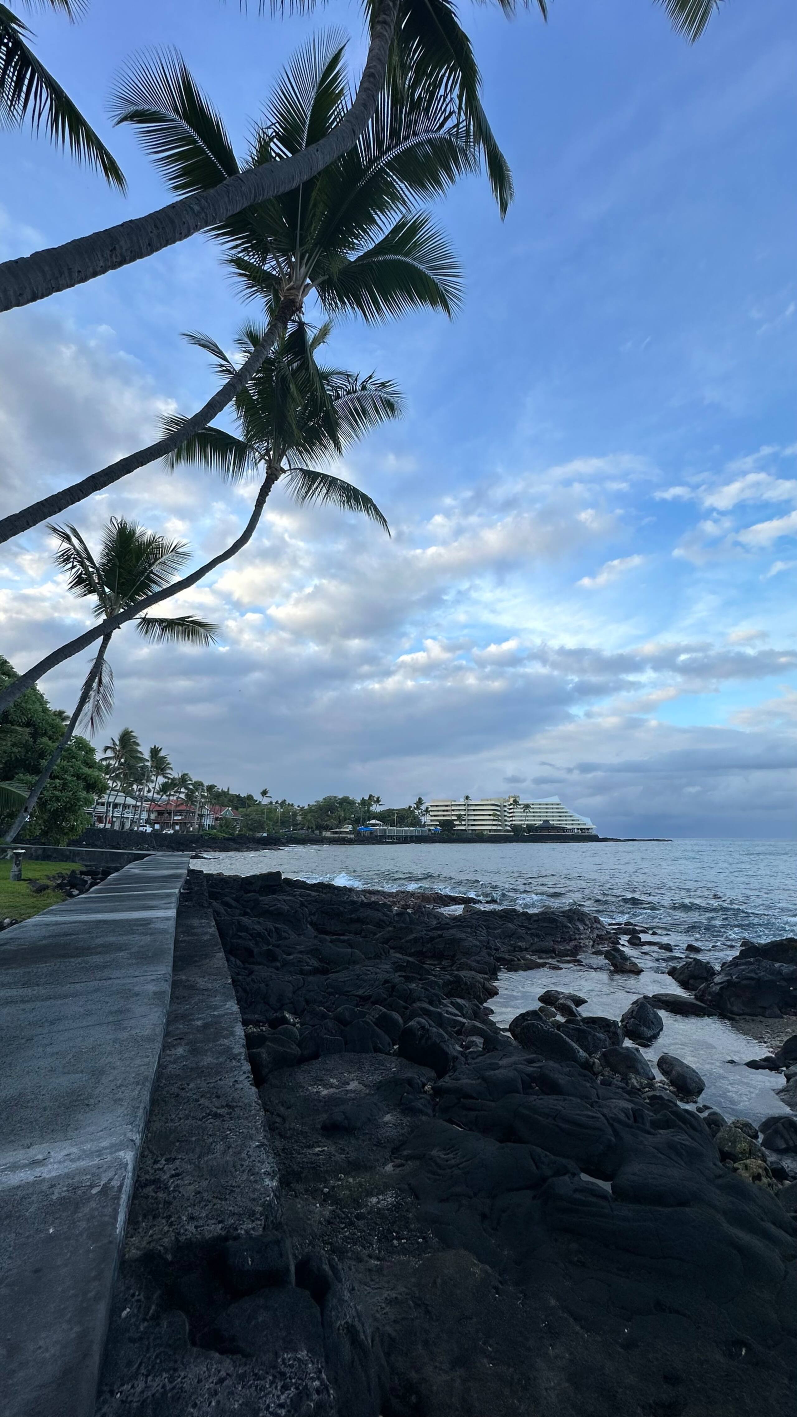 RENOVATED Studio By The Ocean!!!  Deep Cleaned! - Image 7
