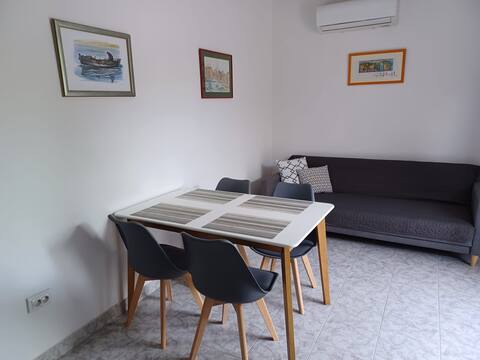 Top Airbnb: Apartment Marija 1 on island Vir with olive garden in Općina Vir