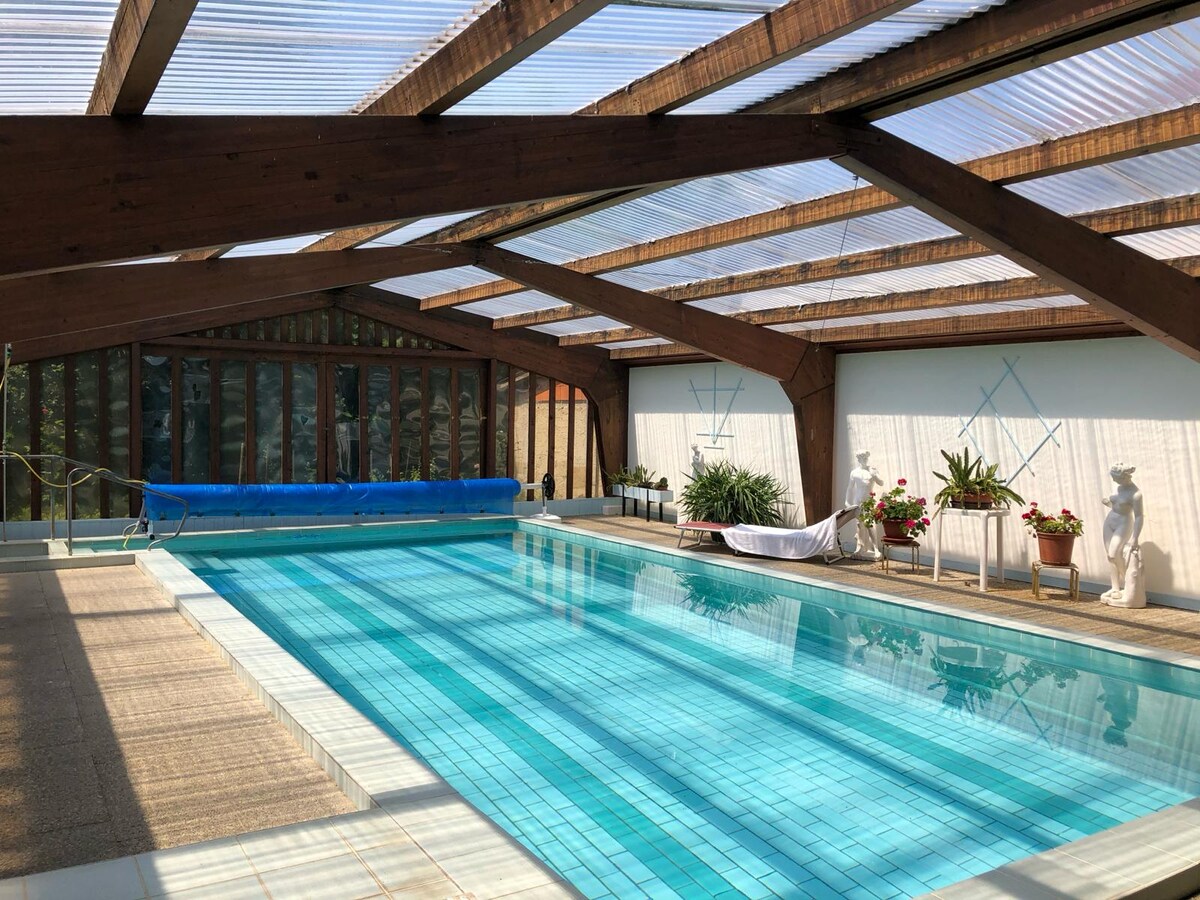 An indoor swimming pool is housed under a wooden-beamed structure, featuring clear panels that allow natural light to illuminate the water. Potted plants are positioned around the pool area, and a covered seating space can be seen against one wall.