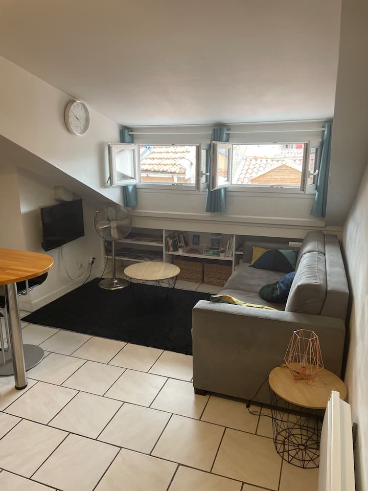 Joli T2bis + Mezzanine Au Petit Bayonne Classé 2* - Bayonne