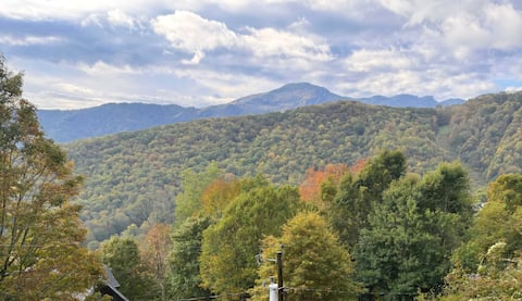 Grandfather View-4500FT UP-Arcade-Games-WD-A/C-Big