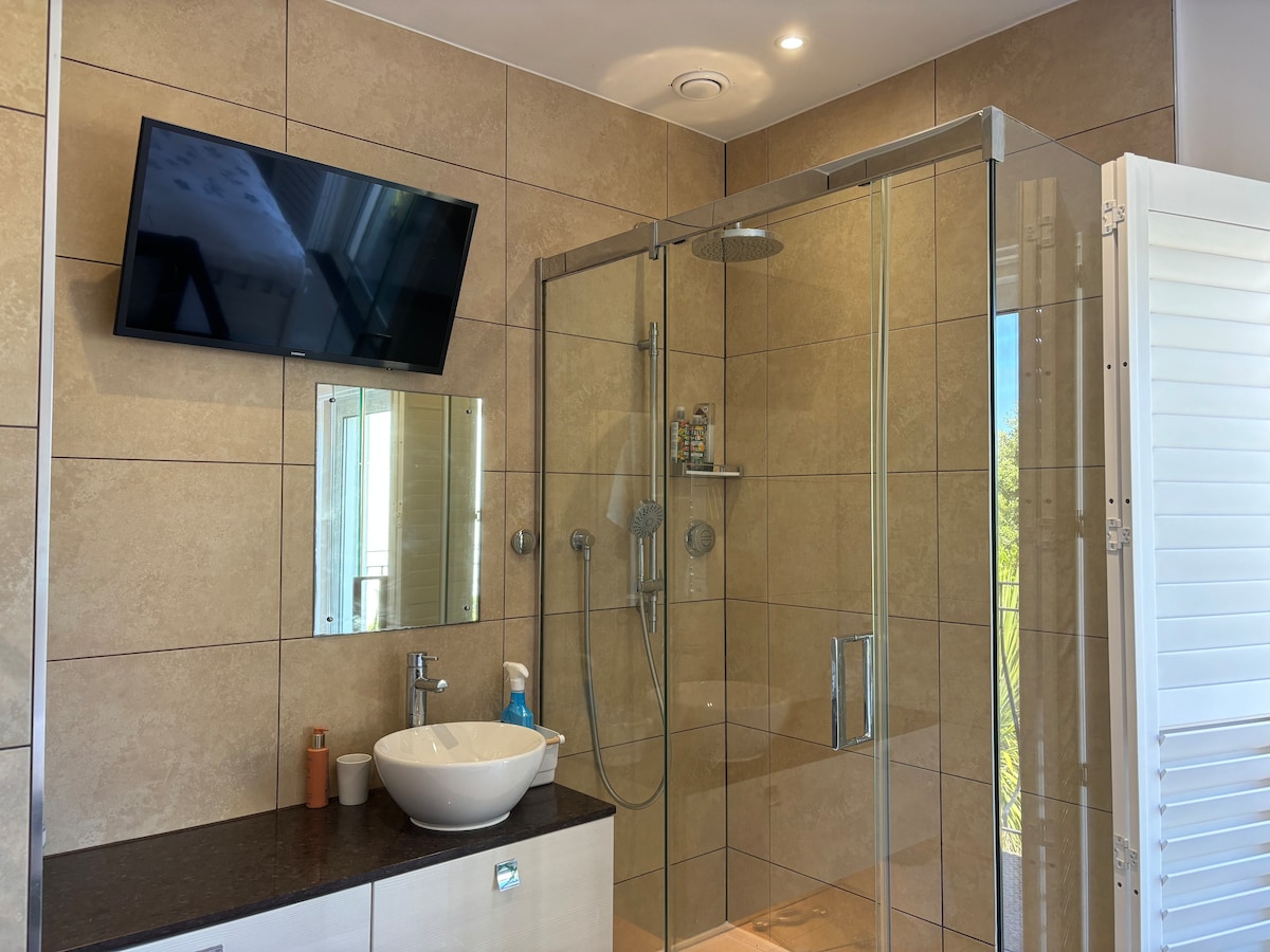 A modern bathroom features a spacious walk-in shower with clear glass walls and a rain shower head. A large mirror is mounted above a sleek countertop, which holds a bowl sink. A flat-screen television is mounted on the wall, enhancing the room's functionality.