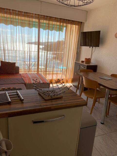 Successful Airbnb property: THE BALCONIES OF THE ELMES in Banyuls Sur Mer