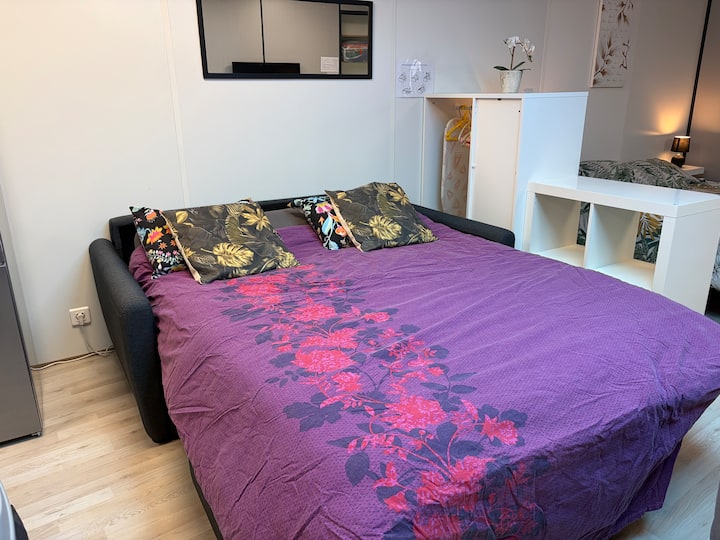 舒适的沙发床，提供2张额外的床–单间公寓最多可住4人。