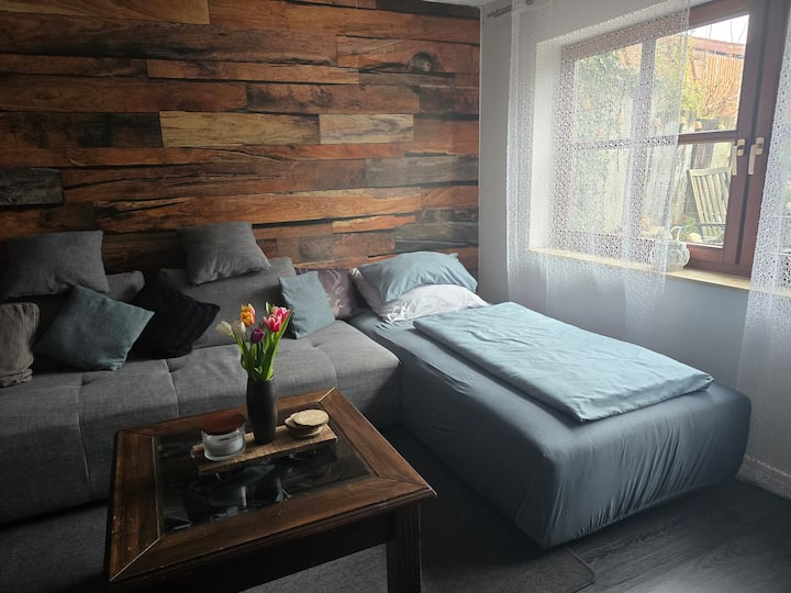 Sofa bed for one person in the living room 