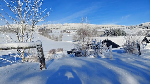 Scandinavian lodge near Winterberg with hot tub