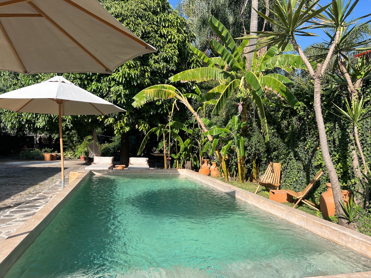 A serene pool area is surrounded by lush tropical greenery, featuring palm trees and other plant life. Sun umbrellas provide shade beside the clear water, inviting guests to relax and enjoy the tranquil outdoor space.