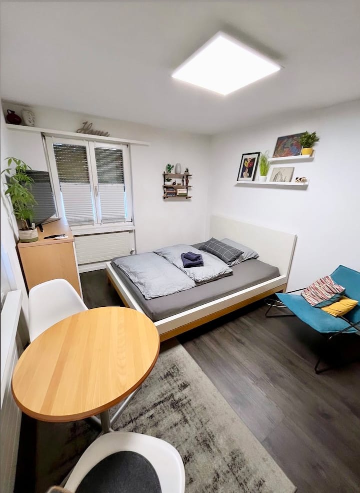 Sunny Bright Apartment - Zürich