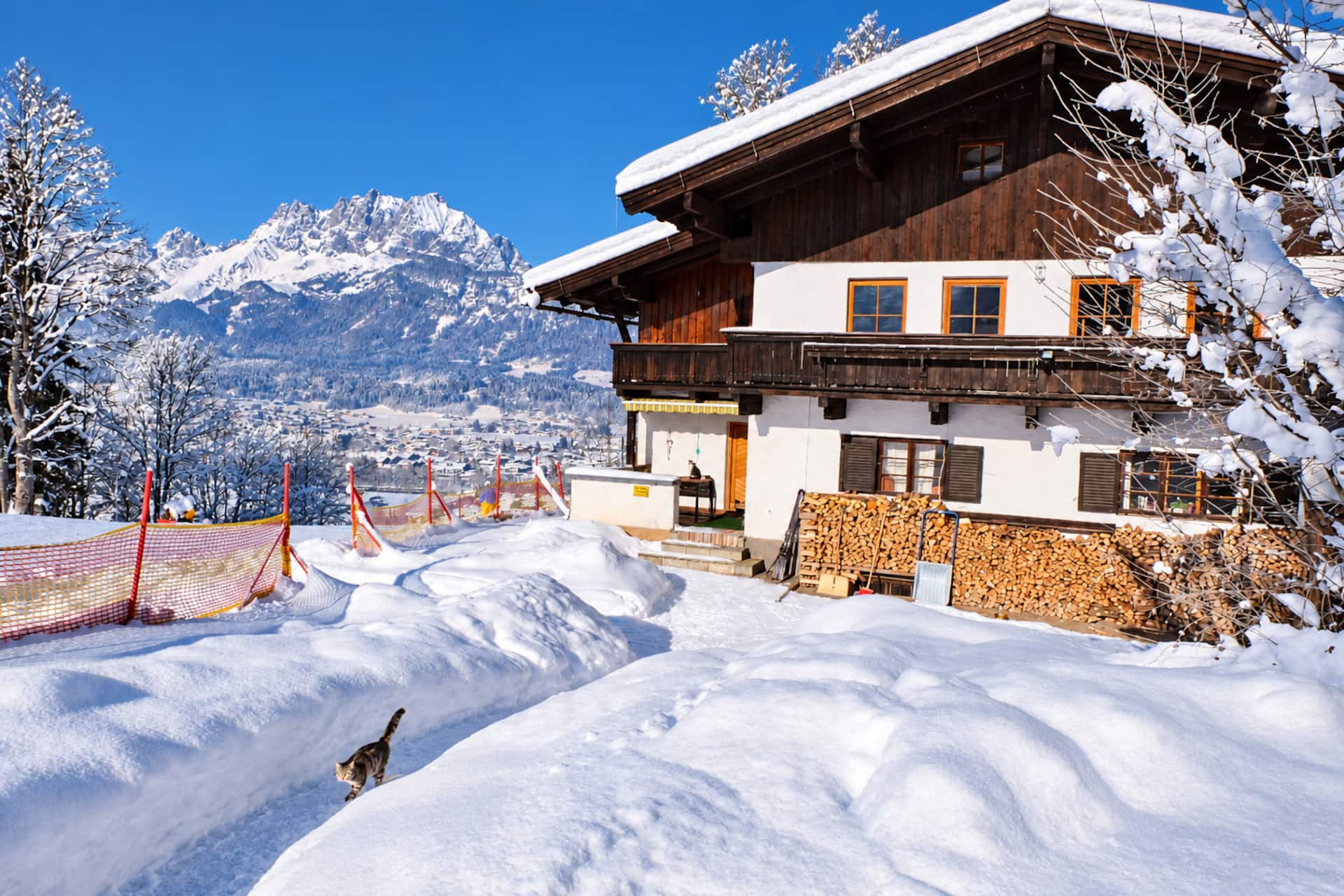 Alpine retreat with a view