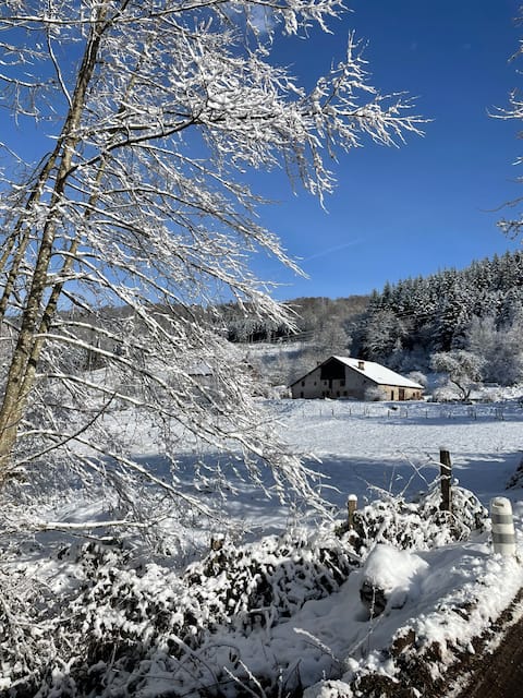 La Hutte, in the middle of the woods...