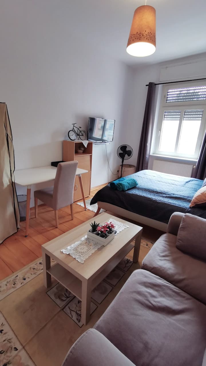 Big Cosy Room In Karlsruhe Near Uni - Karlsruhe