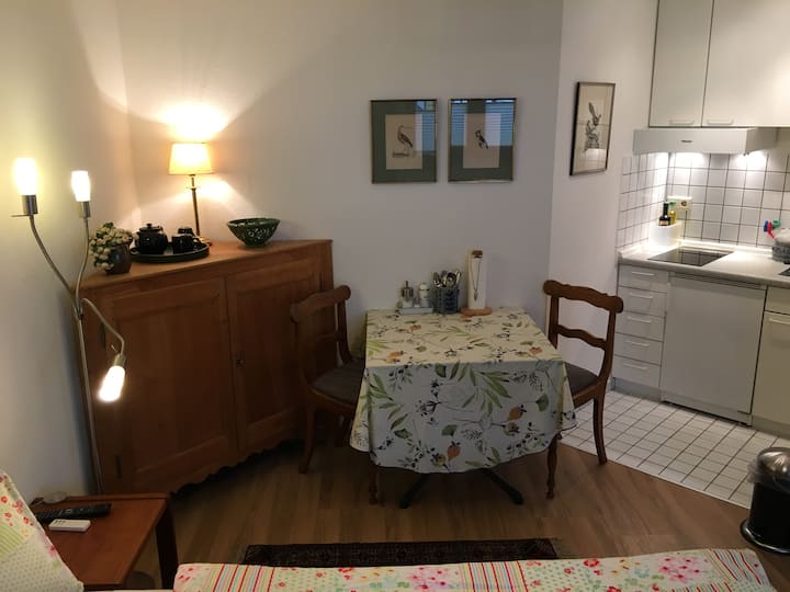 Kleines Ferienapartment, Rheinhöhe Bei Bonn - Remagen