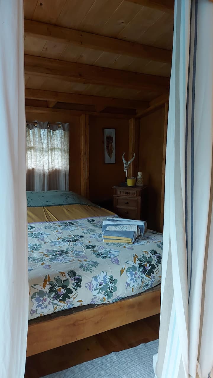 Habitación 1