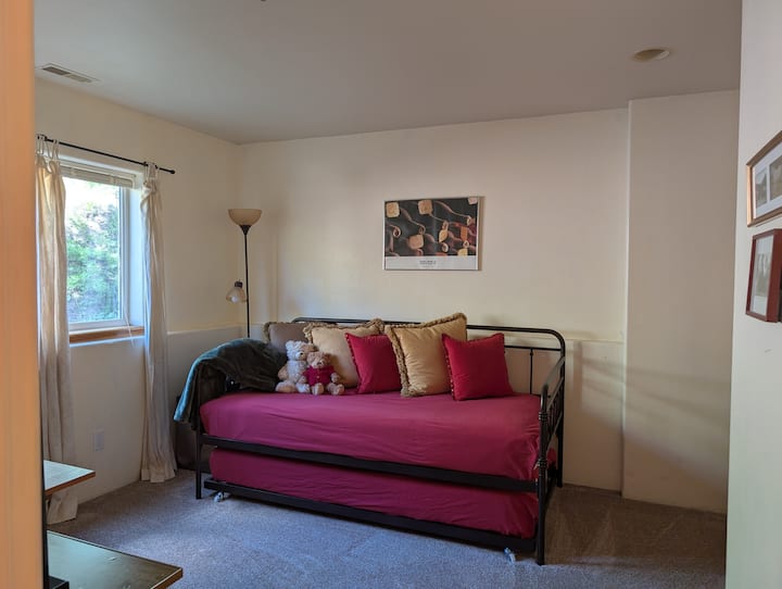 Morning Sunshine, View of Wildflowers and Open Space 