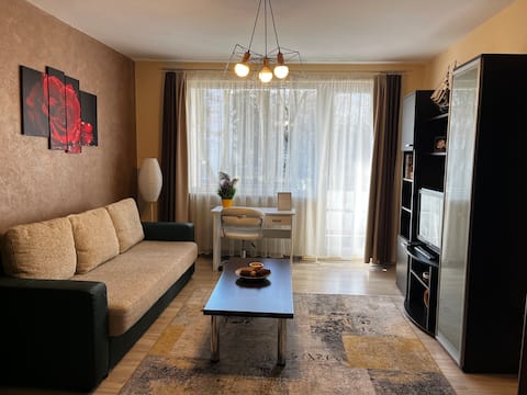 Popular Airbnb listing: Friendly apartment Targu Mures in Târgu Mureș