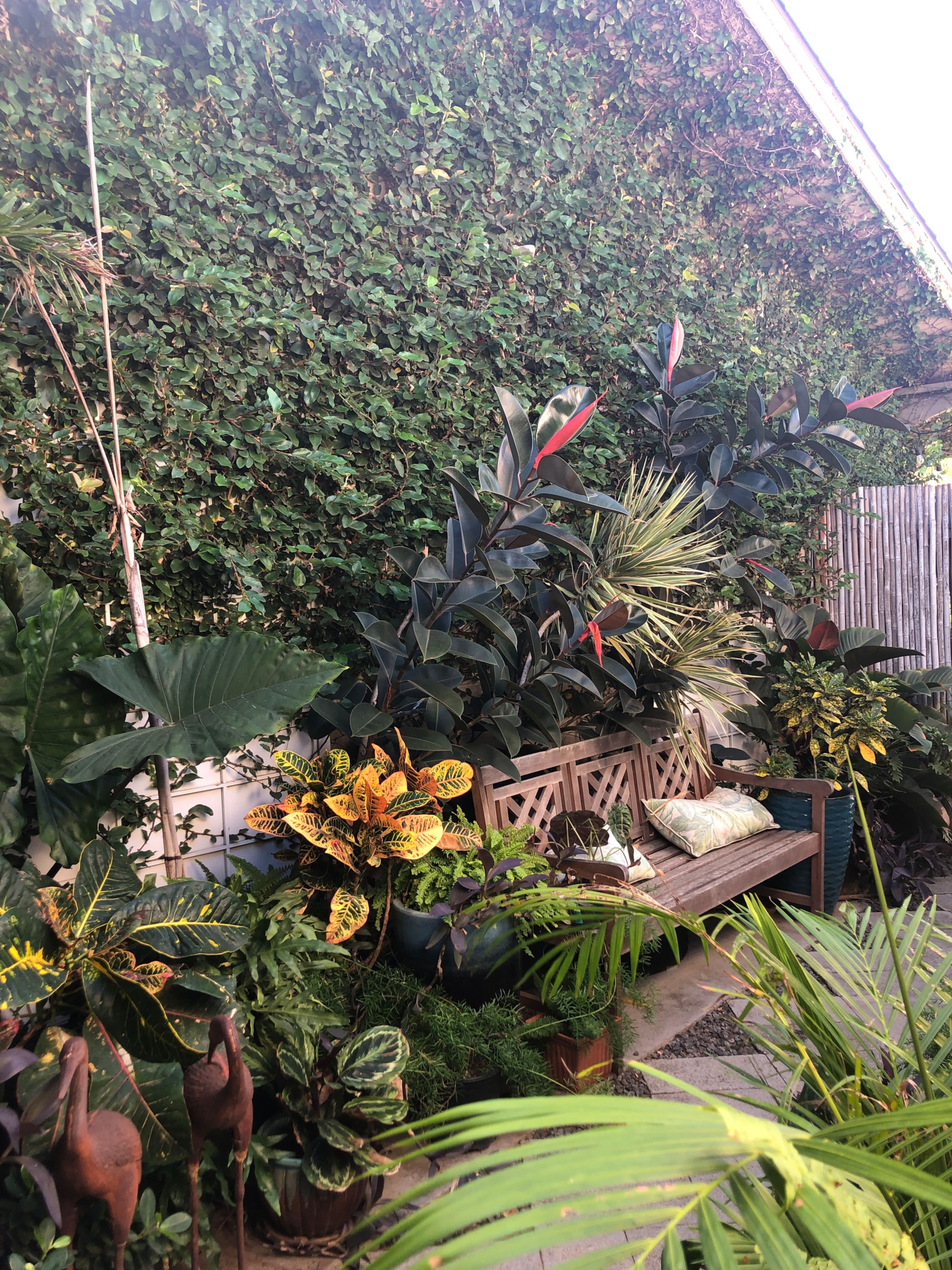 Boutique Suite/Banana Bread, Hot Tub and Sauna - Image 83