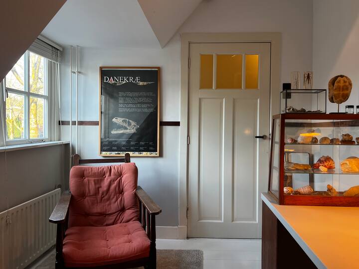 Habitación individual con colección de fósiles