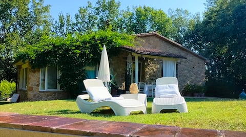 Open space surrounded by nature