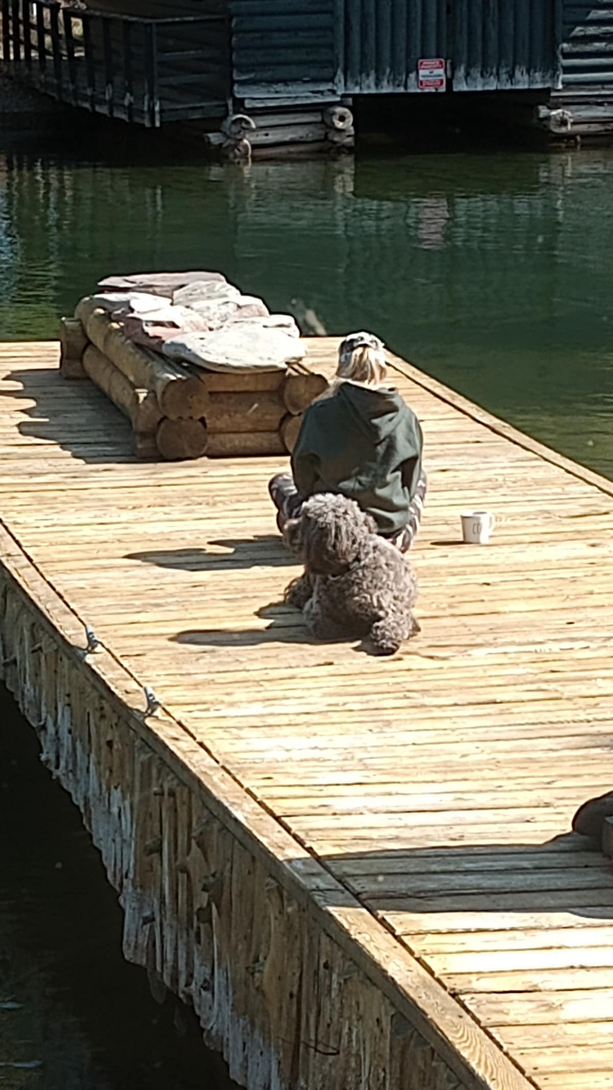 A wooden dock stretches over calm water, where an individual sits with a large furry dog. The dock features logs arranged to create a cozy seating area, and a cup is placed nearby. The surrounding environment reflects a serene atmosphere.