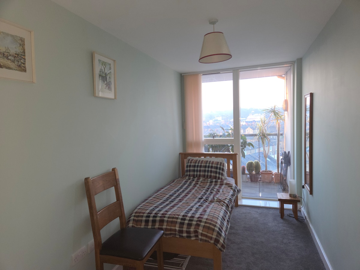 A single room features light green walls with natural light streaming through large floor-to-ceiling windows. A cozy bed with a checkered blanket is positioned next to a wooden chair. A small balcony is visible, adorned with potted plants and offering views of the river.