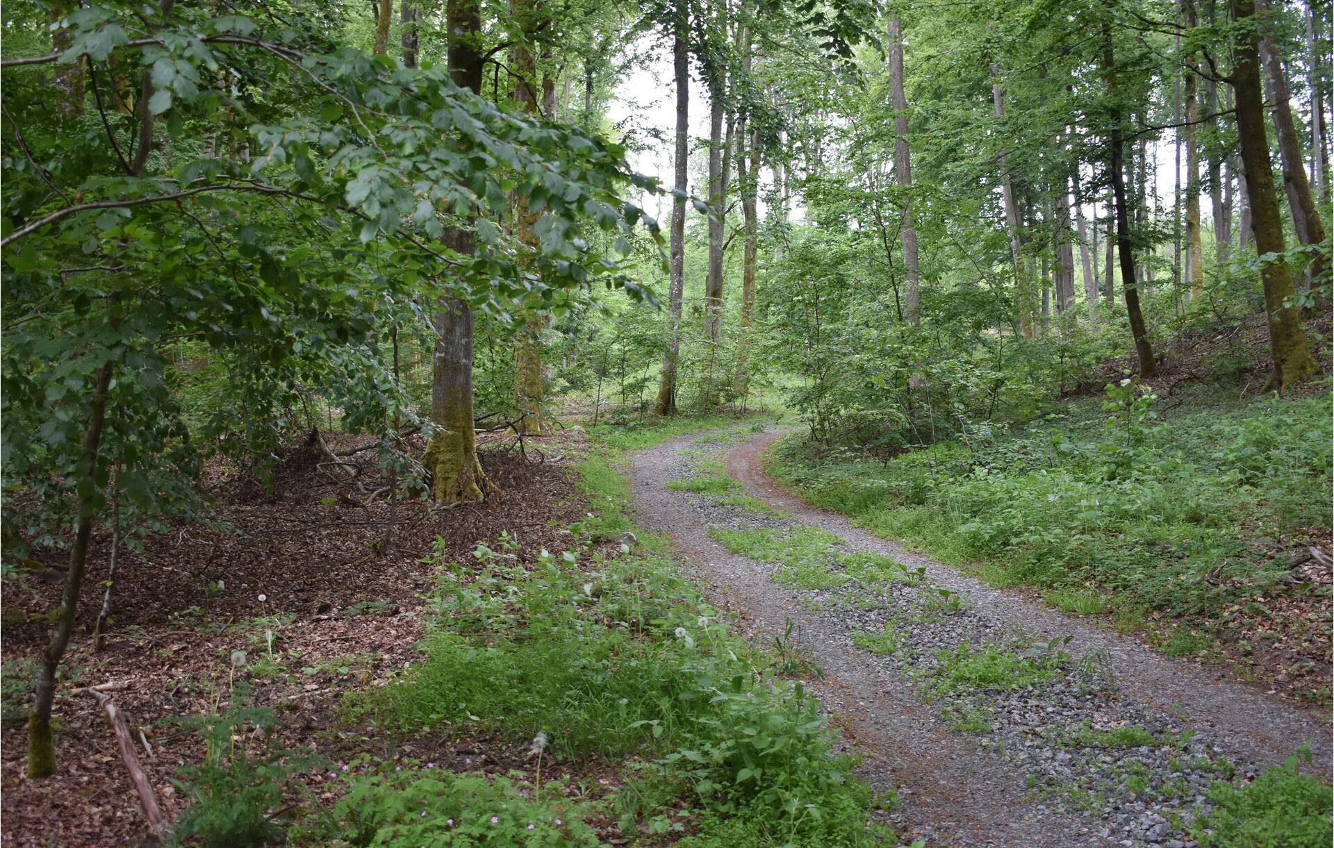 Jakthuset — foto 5