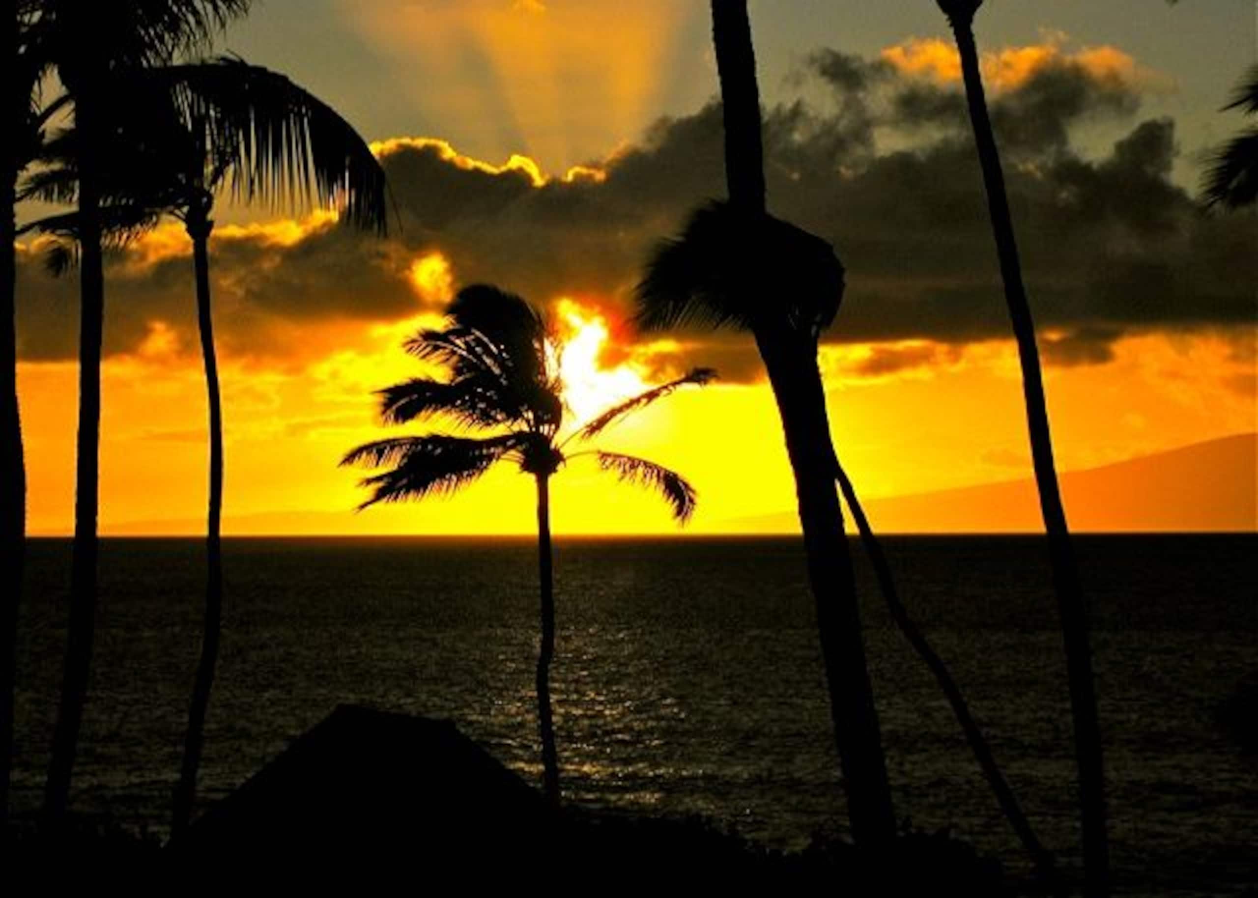 Condo in Lahaina · ★4.78 · 1 bedroom · 1 bed · 1 bath - Image 43