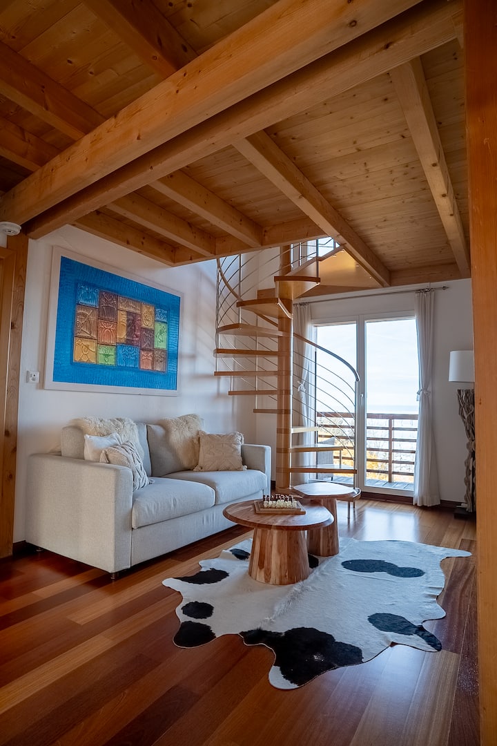 Chalet Sur Deux éTàges Privés 260m2 - Lago Lemán