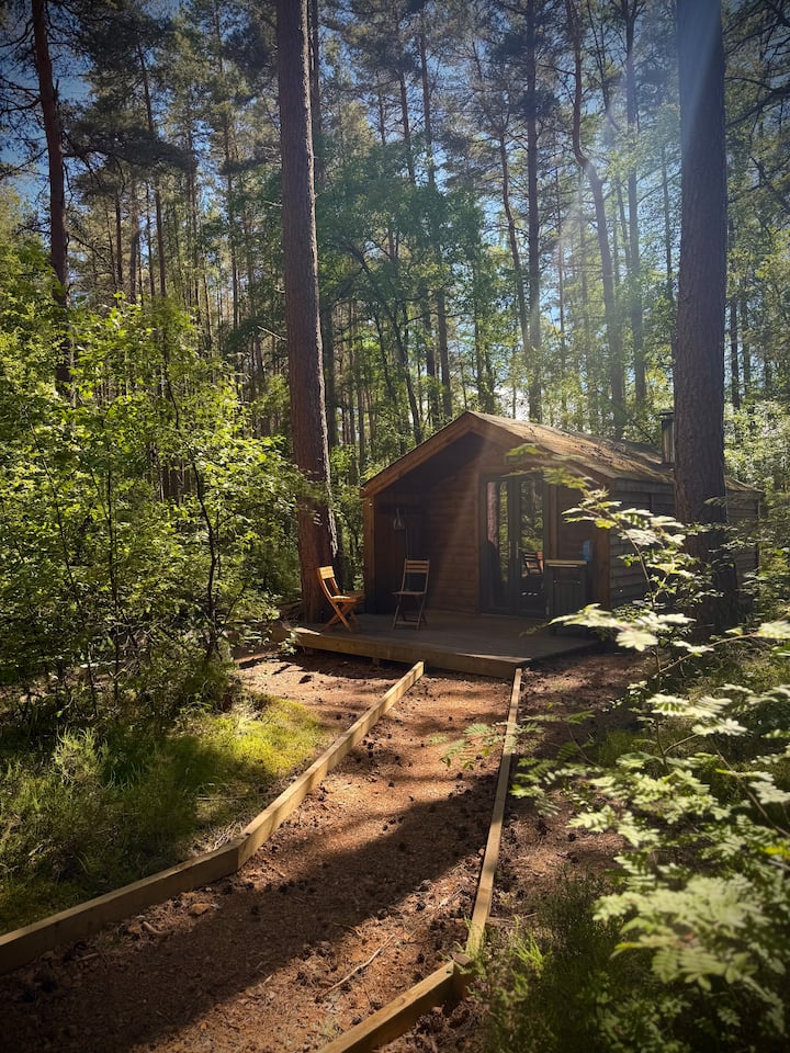 Birch Wildwoodz Cabins, Birch Cabin - Inverness