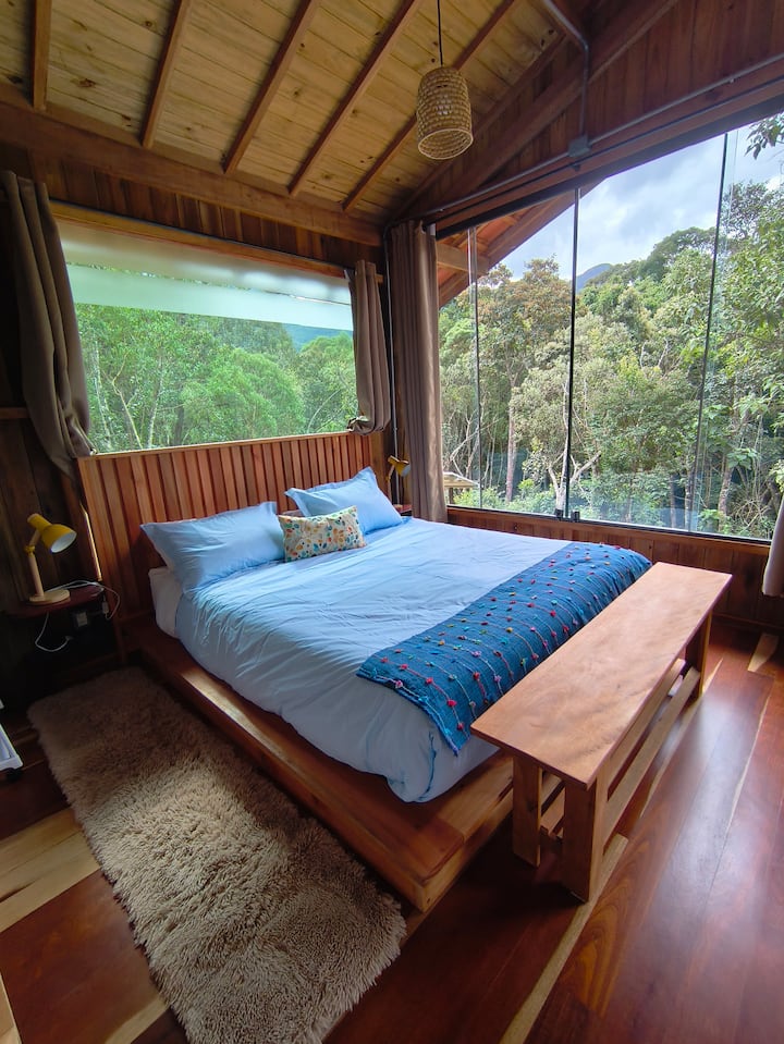 Área de la habitación