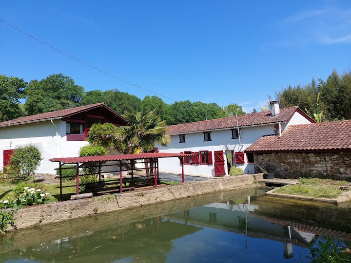 Ancien Moulin Rénové Au Cœur Du Pays Basque - Urt