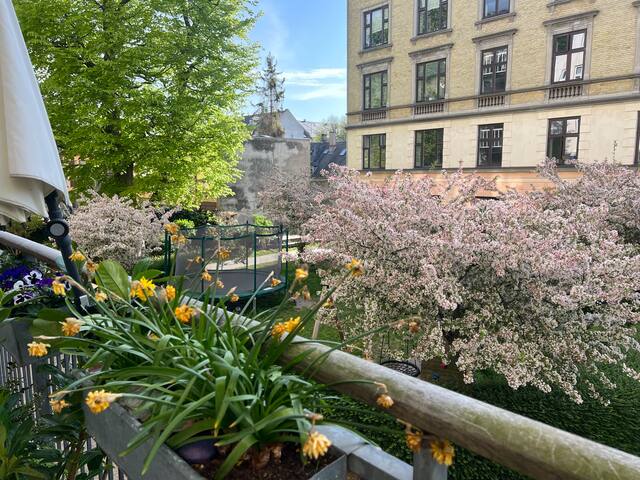 Classic Copenhagen residens gallery image 4