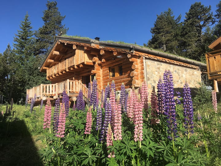 Chalet De Prestige Classé 5 éToiles - Osséja