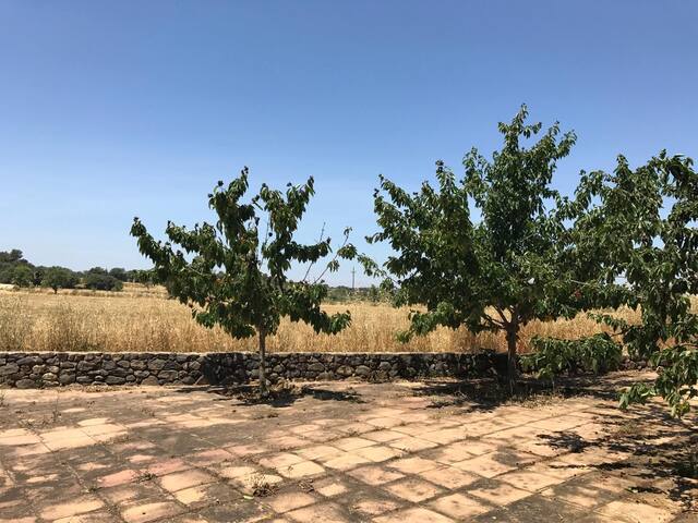 Mas Catala gallery image 4