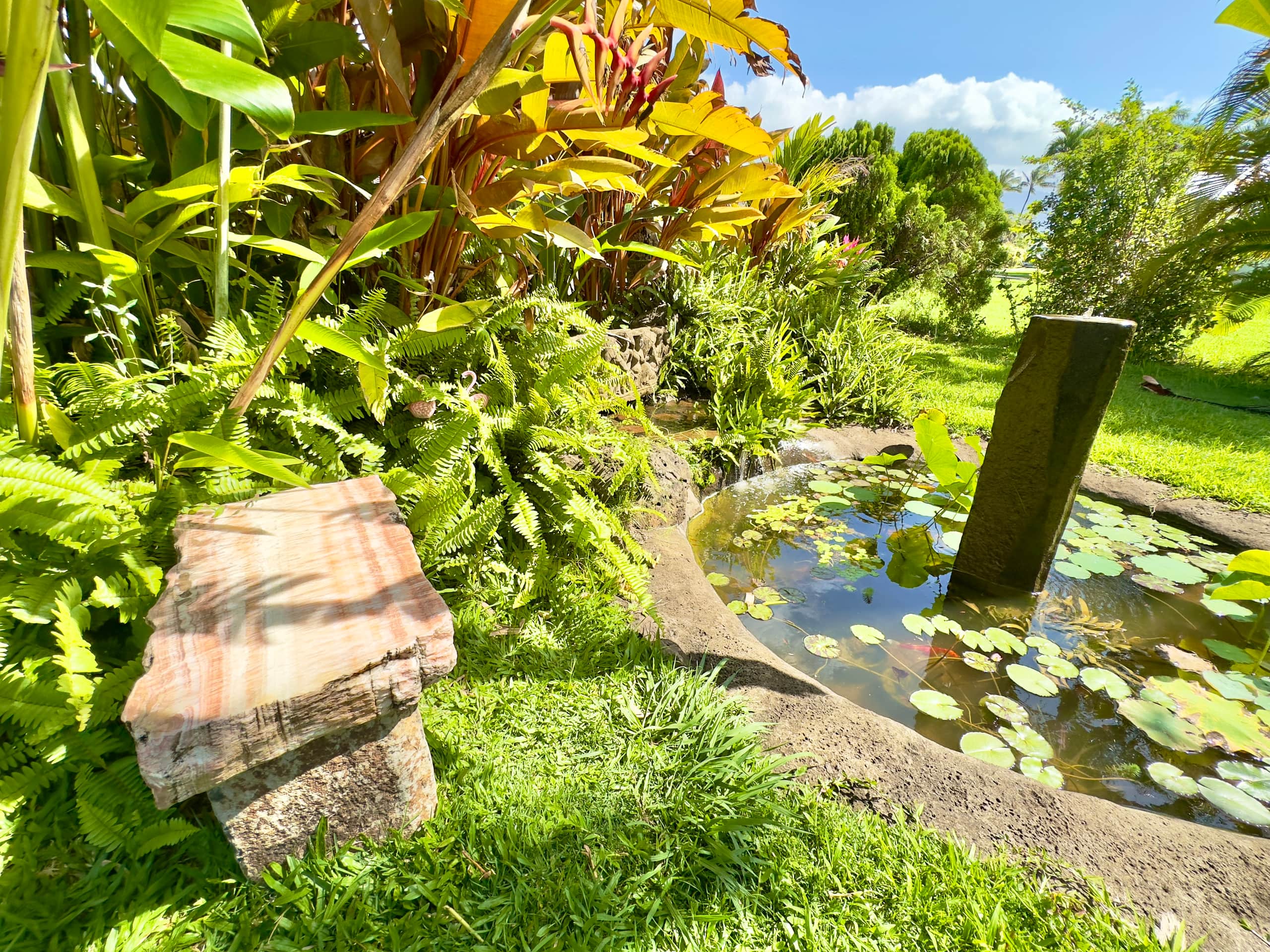 Home in Princeville · ★5.0 · 4 bedrooms · 6 beds · 3.5 baths - Image 32