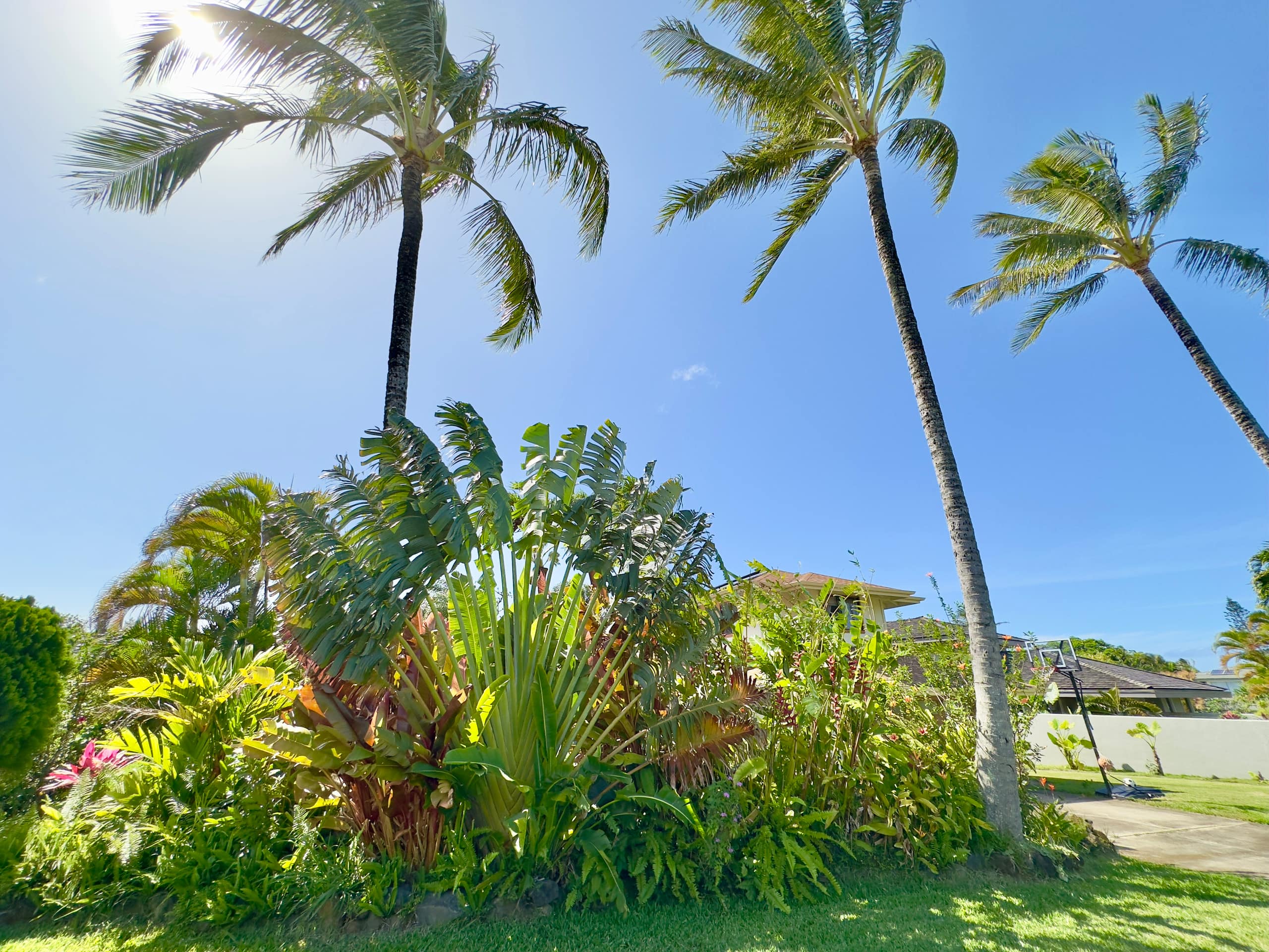 Home in Princeville · ★5.0 · 4 bedrooms · 6 beds · 3.5 baths - Image 30