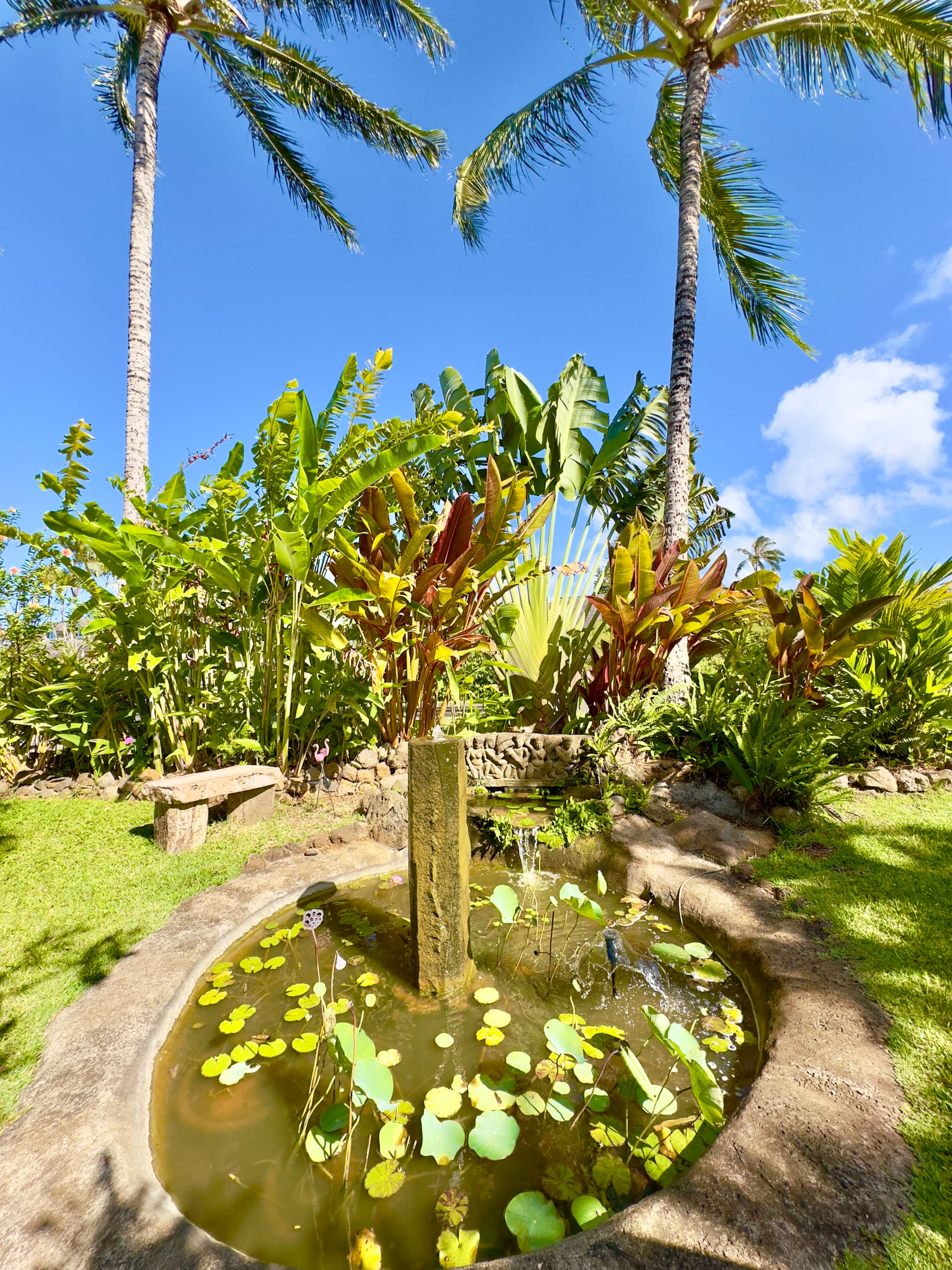 Home in Princeville · ★5.0 · 4 bedrooms · 6 beds · 3.5 baths - Image 40