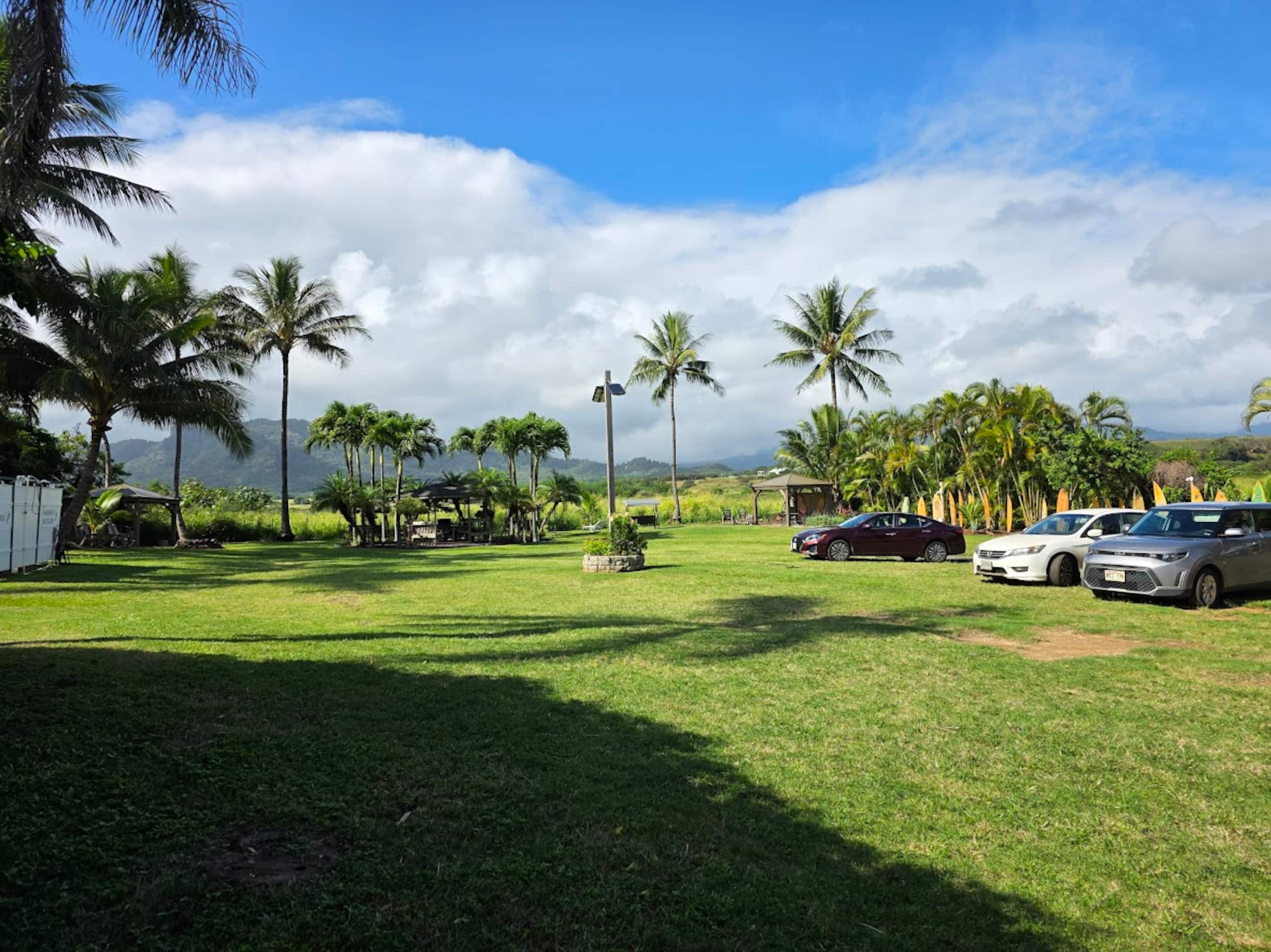 ♥ Stylish Spacious 1BR 2 floor Loft close to beach - Photo 83