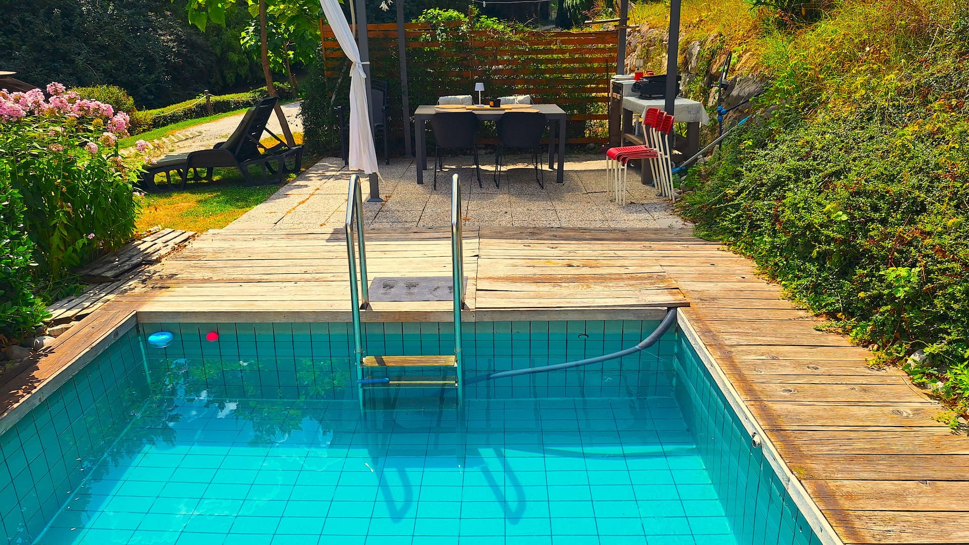 Tree root - InGreen house with summer pool